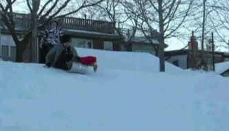 Dog stealing a sled and sledding down the hill.